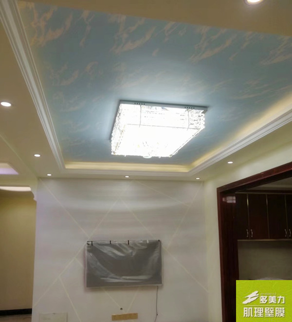 ������Ĥʩ������