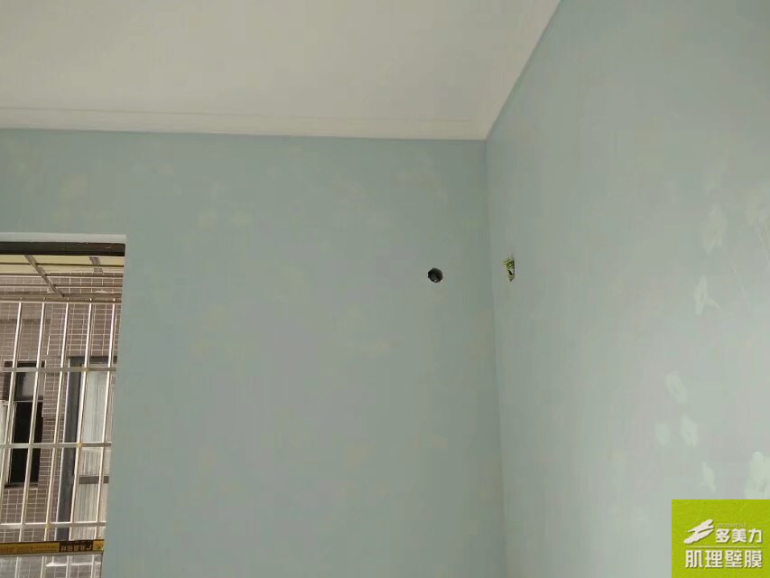 ������Ĥʩ������