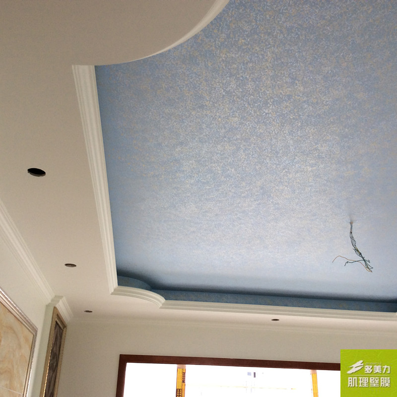 ������Ĥʩ������