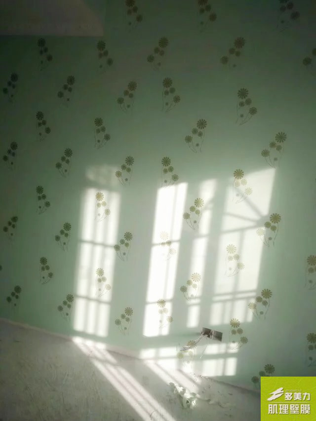 ������Ĥʩ������