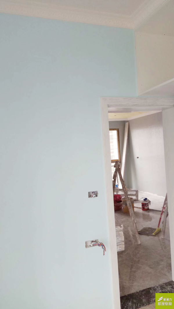 ������Ĥʩ������