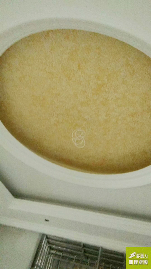 ������Ĥʩ������