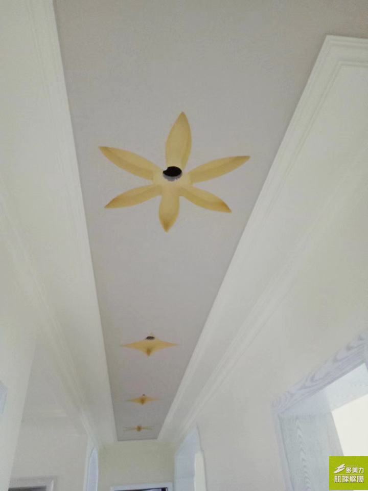 ������Ĥʩ������